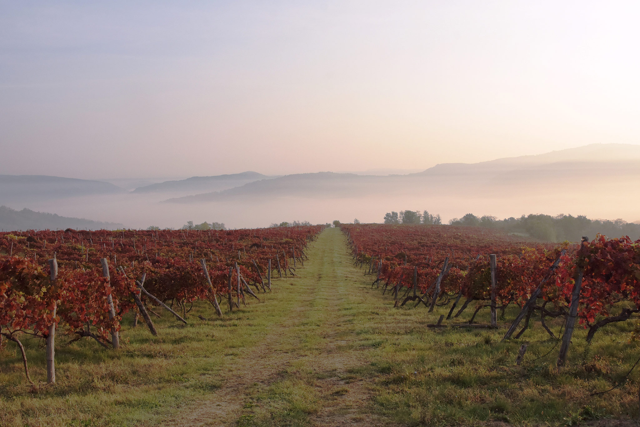 Motovun